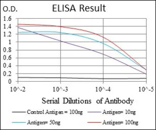 Ring1 antibody [8C12F4]