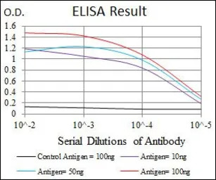 Fibronectin antibody [2F4]