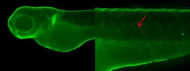 产品细节图片10