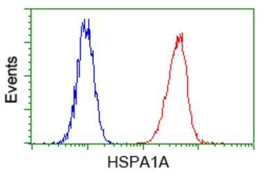 Hsp70 antibody [5F3]