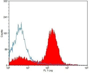 CD40 antibody [3/23] (Low endo