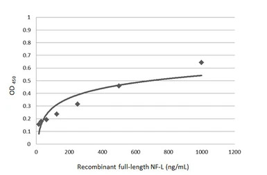 NF-L antibody
