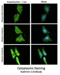 Signal+ for Immunostaining