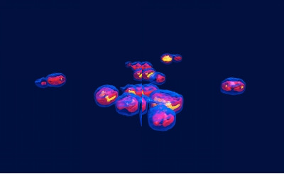 360度全息3D活细胞成像系统