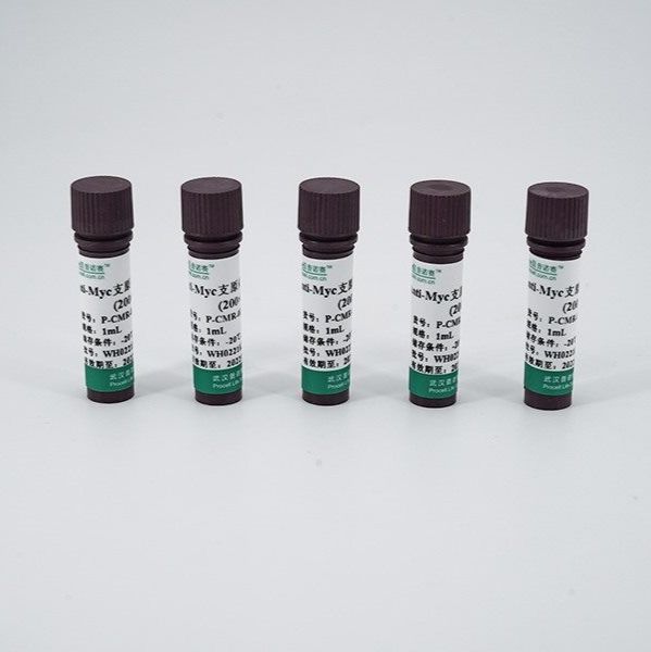 青霉素-链霉素-两性霉素B溶液 (100×)