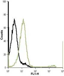 Kir7.1 antibody