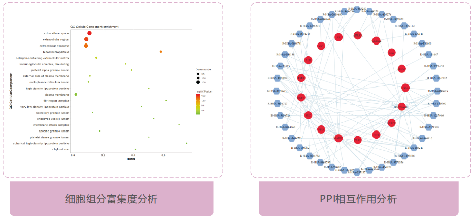 生物信息学分析