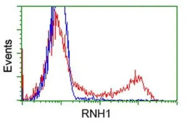 Ribonuclease Inhibitor antibod
