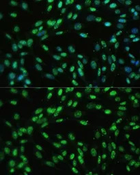 产品细节图片11