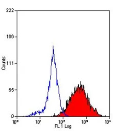 DC-SIGN antibody [MR-1] (FITC)