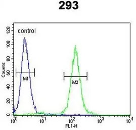 SUV4-20H2 antibody, Internal