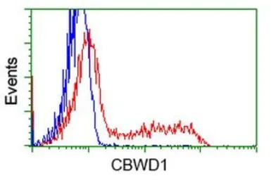 CBWD1 antibody [4E8]