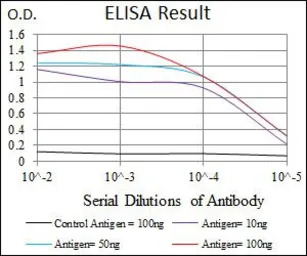 GluR2 antibody [7G6]