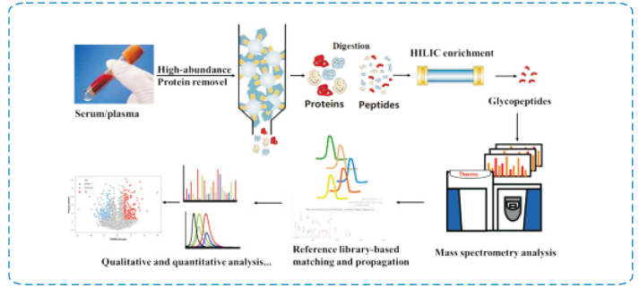糖基化蛋白质组学服务