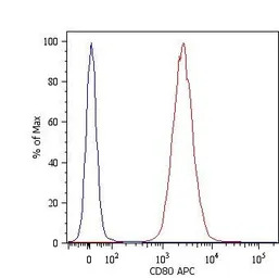 CD80 antibody [MEM-233] (PE)