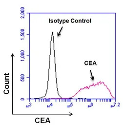 CEA antibody [1106]