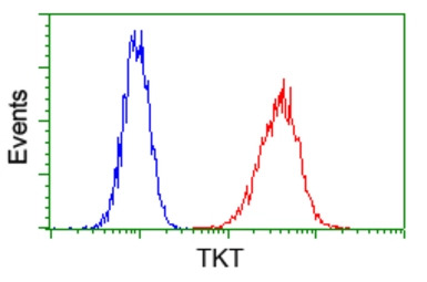 Transketolase antibody [5H3]
