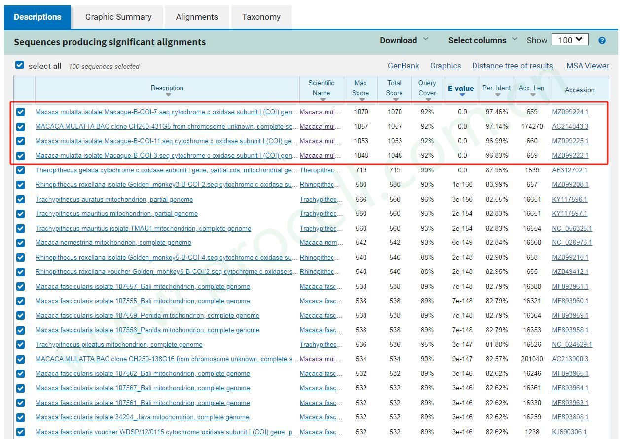 FRhK-4(恒河猴胚肾细胞)