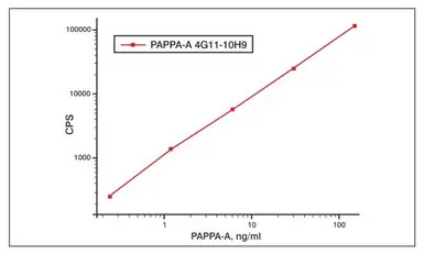 PAPP A antibody [10H9]