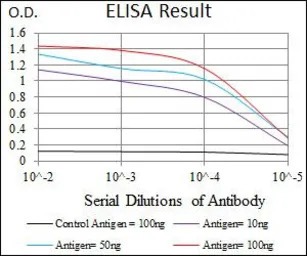 Cytokeratin 13 antibody [3G4]
