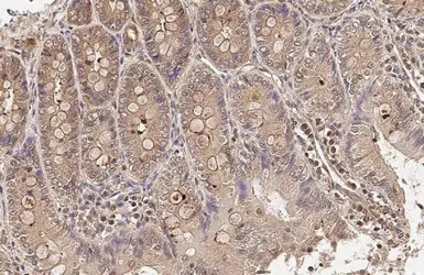 产品细节图片11