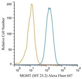 MGMT antibody [MT 23.2]