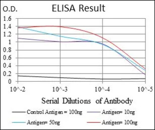 RSK2 antibody [4E10]
