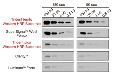 Trident femto Western HRP Subs