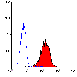 CD80 antibody [MEM-233] (PE)