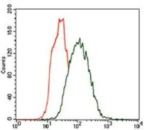 Cytokeratin 5 antibody [2C2B4]