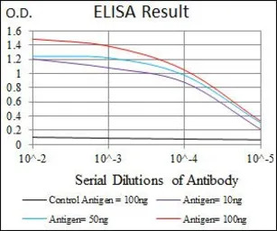 JNK1 antibody [1E5]