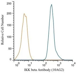 IKK beta antibody [10AG2]