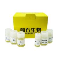零内毒素质粒大量提取试剂盒