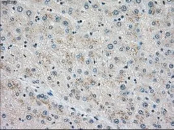 产品细节图片10