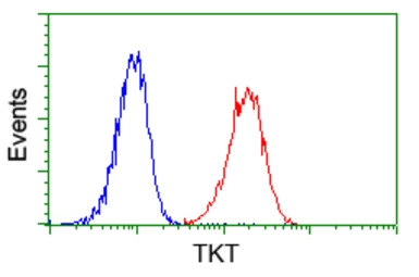 Transketolase antibody [5H3]