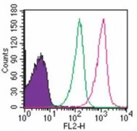 TLR8 antibody [44C143]