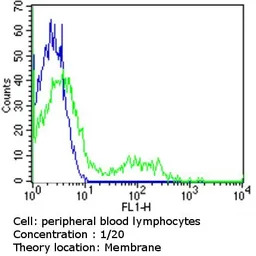 TCR V beta 5a antibody [1C1] (