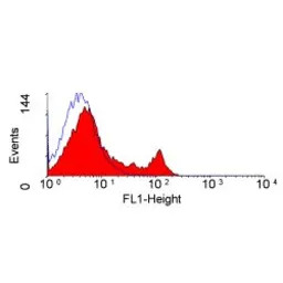 CD4 (Domain 1) antibody [OX-38
