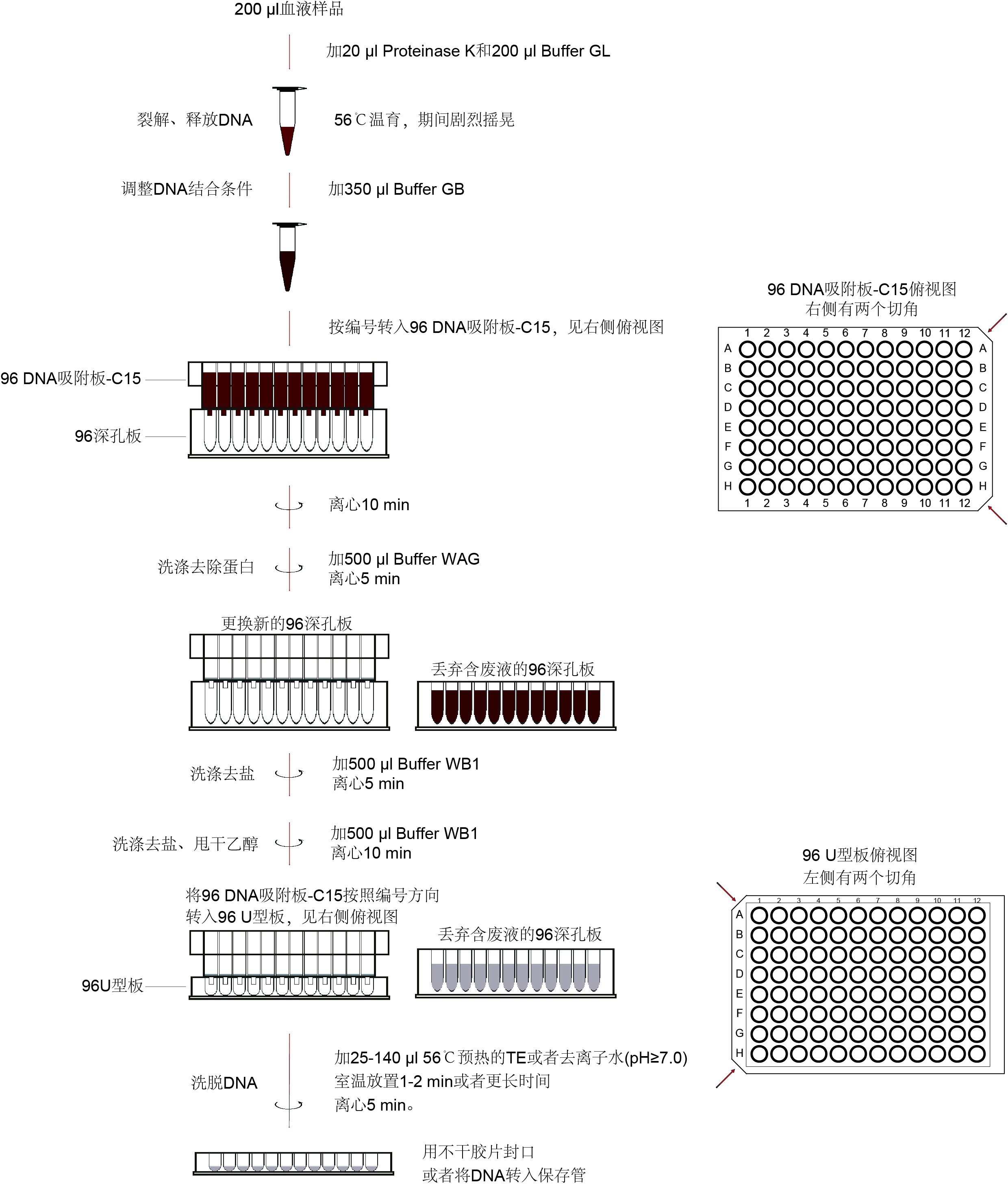 96血液基因组DNA小量提取试剂盒