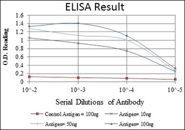 AIF antibody [4E7]