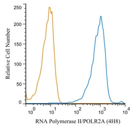 RPB1 antibody [4H8]