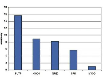 CBFb antibody - ChIP grade