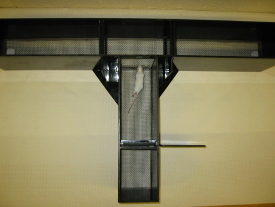 大小鼠T迷宫实验分析系统