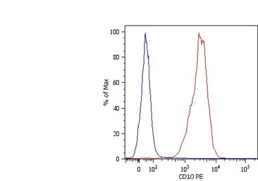 CD10 antibody [MEM-78] (PE)