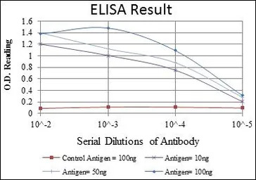 MEK6 antibody [3H12B9]