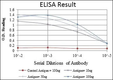 SEK1 / MKK4 antibody [5H4]