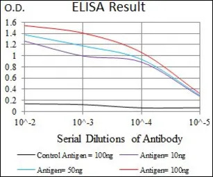 53BP1 antibody [6B3E10]