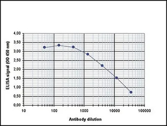 CBFb antibody - ChIP grade