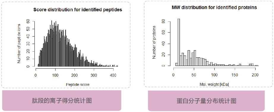 生物信息学分析
