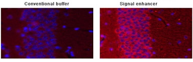 Signal+ for Immunostaining